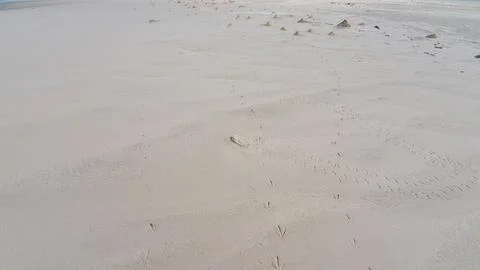 Quiet sandy beach at low tide Stock Photos