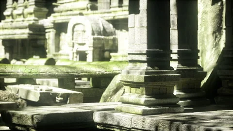 Quiet scene featuring detailed analysis of ancient stone textures Stock Footage 341827022