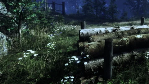 Quiet Serenity in a Misty Forest With Rustic Logs and Blooming Flowers Stock Footage 344952634