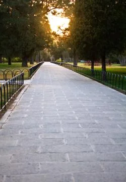 Quiet single park path in trees along to the sun Stock Photos
