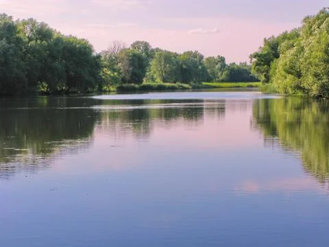 The quiet smooth surface of a small bay overgrown with trees along the shore Stock Photos