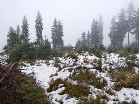 Quiet snowy hideaway with rustic charm. Remote frosty clearing featuring co.. Foto stock