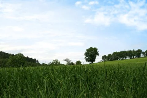 Quiet spring landscape Stock Photos