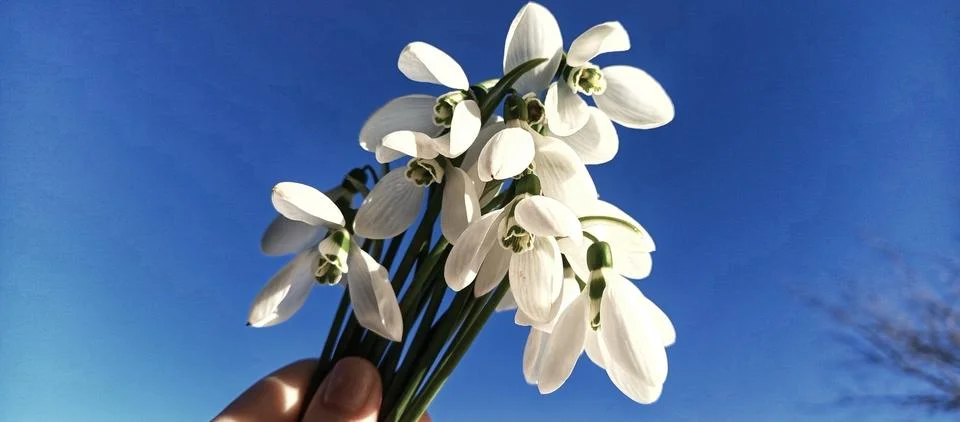 “Quiet Spring” Stock Photos