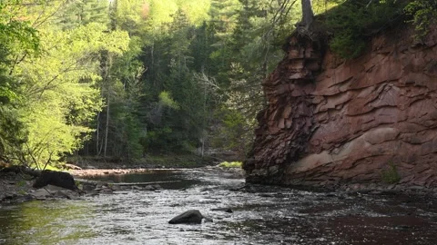 Quiet Stream in Amnicon Falls State Park Vídeo Stock 310682063