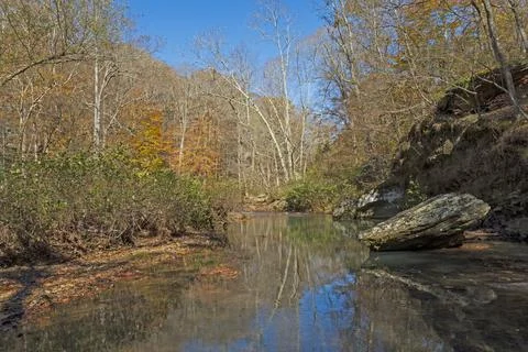 Quiet Stream in the Fall Forest Stockfoto's