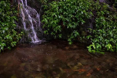 A quiet stream flowing between the emerald green rock walls 스톡 사진