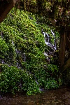 A quiet stream flowing between the emerald green rock walls Stock Photos