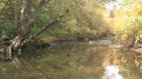 Quiet Stream Stock Footage 11140472