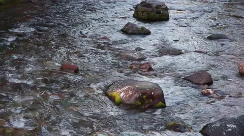 A quiet stream Stock Footage 42132220