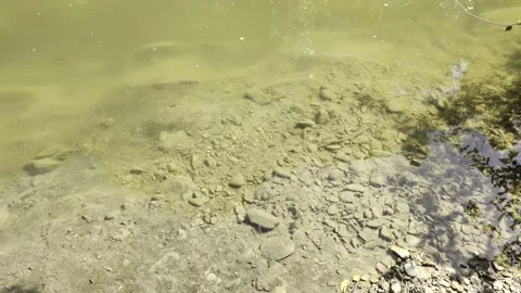 Quiet stream Stock Footage 344142747