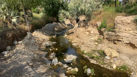A quiet stream in the hot tropics. Static video. The dried up river. The conc Stock Footage 122441032
