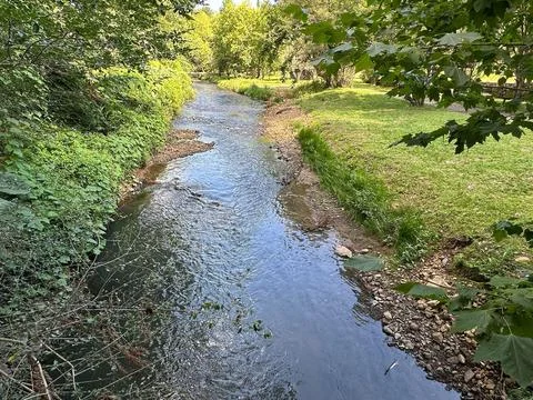 Quiet stream at Lush Park Stock Photos