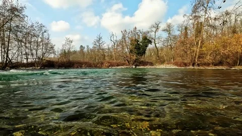 A quiet stream in the nature reserve Stock Footage 322077288