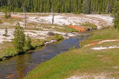 Quiet Stream Through a Thermal Area 스톡 사진
