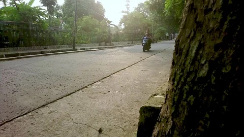 Quiet streets in the suburbs Stock Footage 124513244