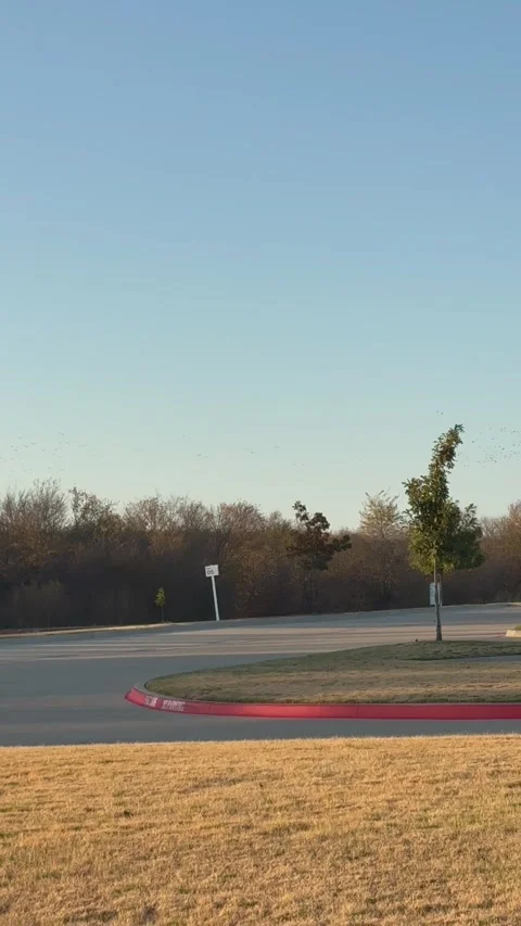 Quiet Suburban Roadside with Dry Winter Grass Stock Footage 344593543