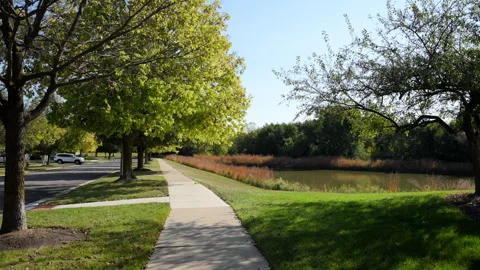 Quiet suburban walking path lined with green trees beside a calm pond. Scene Stock Footage 320579971