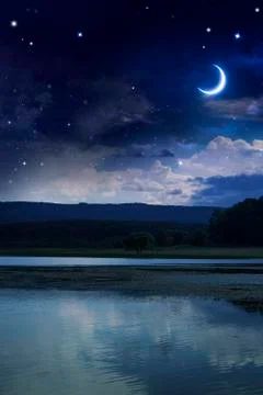 Quiet summer night Stock Illustration