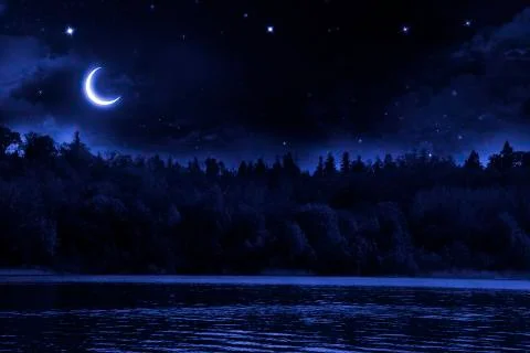 Quiet summer night Stock Illustration