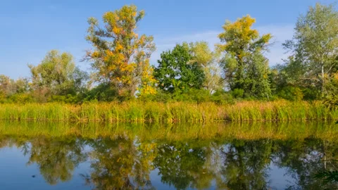 Quiet summer river with forest on coast under cloudy sky Stock Footage 160685896
