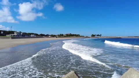 Quiet sunny beach 動画素材 313334738