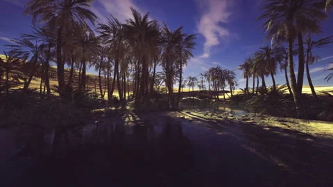 Quiet sunset over glassy pond with shaded palms and contemplative mood Stock Footage 341599466