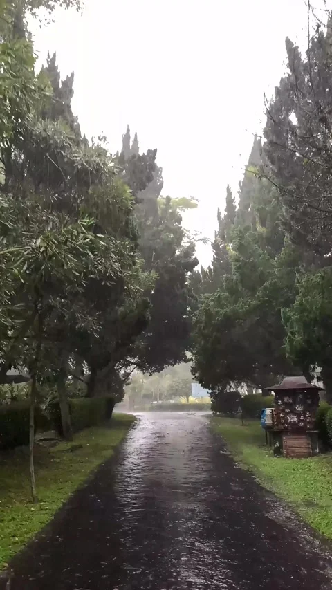 The quiet symphony of raindrops on Graden Video stock 289399634