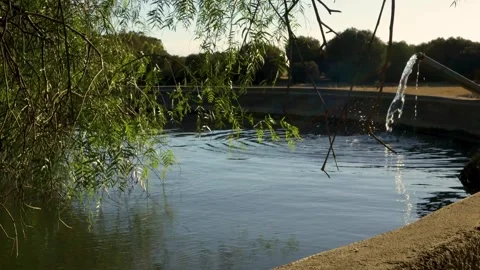Quiet tank surrounded by trees and a pipe releasing a stream of water every.. Stock Footage 255960967