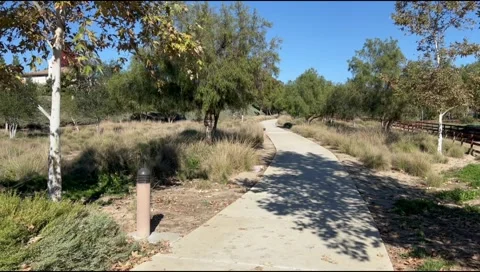 Quiet Trail Stock Footage 222876233