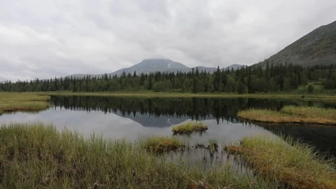 Quiet tranquil mountain lake. Reflection of green peaks in water Vidéo 93954359