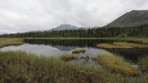 Quiet tranquil mountain lake. Reflection of green peaks in water 動画素材 93954436