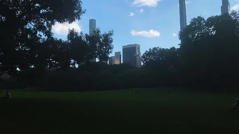 A quiet, tranquil summer day in Central Park Manhattan Stock Footage 165375204