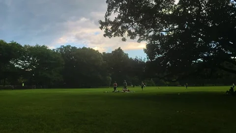 A quiet, tranquil summer day in Central Park Manhattan Video stock 165375259