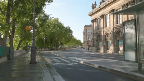 Quiet tree-lined avenue along Quai de Conti featuring a bike lane Vídeo Stock 335131036