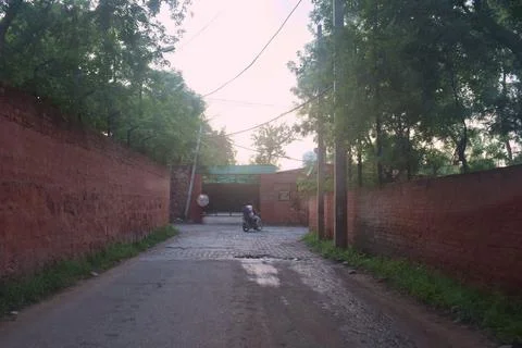 Quiet tree lined lane beside old brick walls Stock Photos