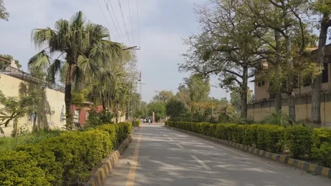 Quiet Tree Lined Peshawar Road 库存影片 333490302