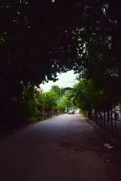 Quiet tree lined residential road in India Stock Photos
