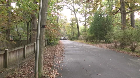 Quiet tree lined street no sidewalk pan right Vidéo 40386937