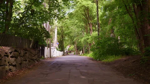 Quiet Tree-Lined Street with Stone Wall and Fencing in Norway Video stock 337149817