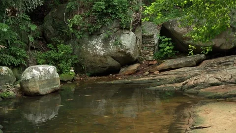 Quiet Tropical Forest Pond Surrounded by Granite Boulders. Thailand. Koh Samui. Stock-Footage 340601071