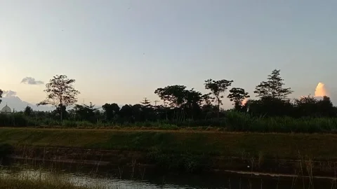 A quiet twilight on the edge of the rice fields and trees. 動画素材 335697400