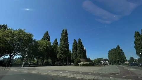 Quiet urban intersection lined with tall trees beneath clear blue sky on sunny 写真素材