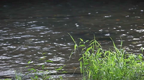 Quiet urban river Stock Footage 50889273