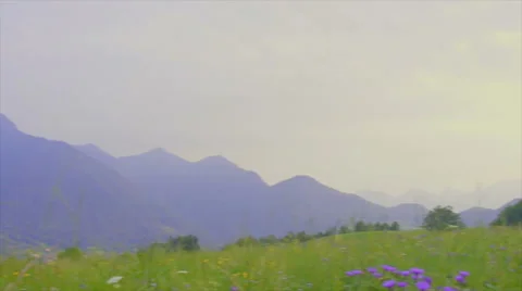 Quiet valley and green field Stock-Footage 59798183