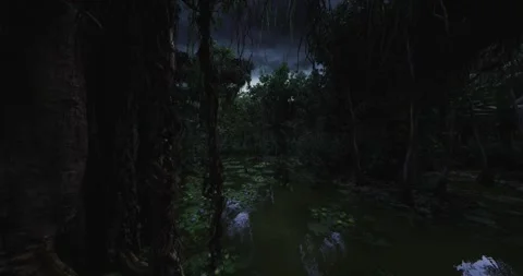 Quiet wetland under moonlight with dense trees and silent waters Stock Footage 333559192