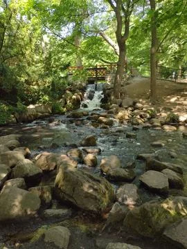 The Quiet Whisper of the Forest Stream Stock Photos