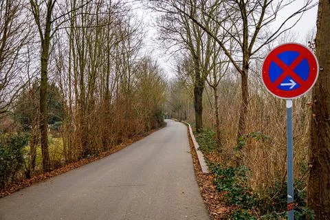 A quiet, winding path lined with bare trees and bushes, featuring a prominent Stock Photos