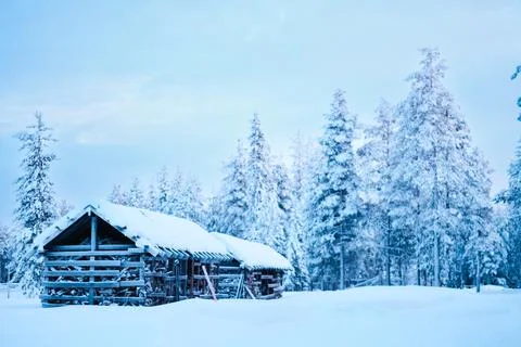 Quiet Winter Forest Environment with Two Firewood Storage Cabines Stock Photos