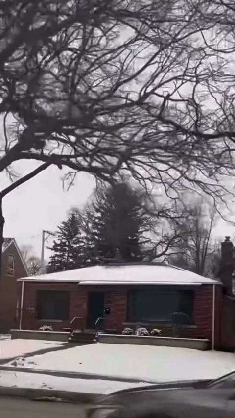 Quiet Winter House Under Bare Trees Stock Footage 331439807